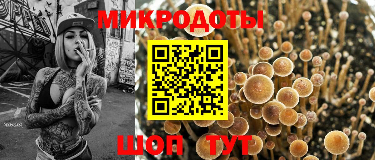 Галлюциногенные грибы прущие грибы Лениногорск