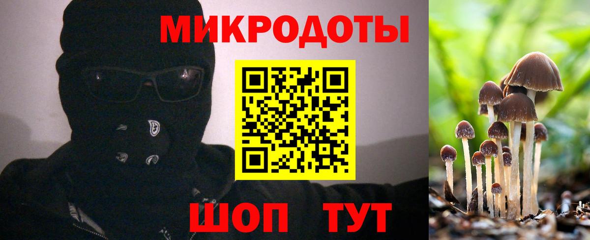 Псилоцибиновые грибы Psilocybe  Вход с VPN  Лениногорск 